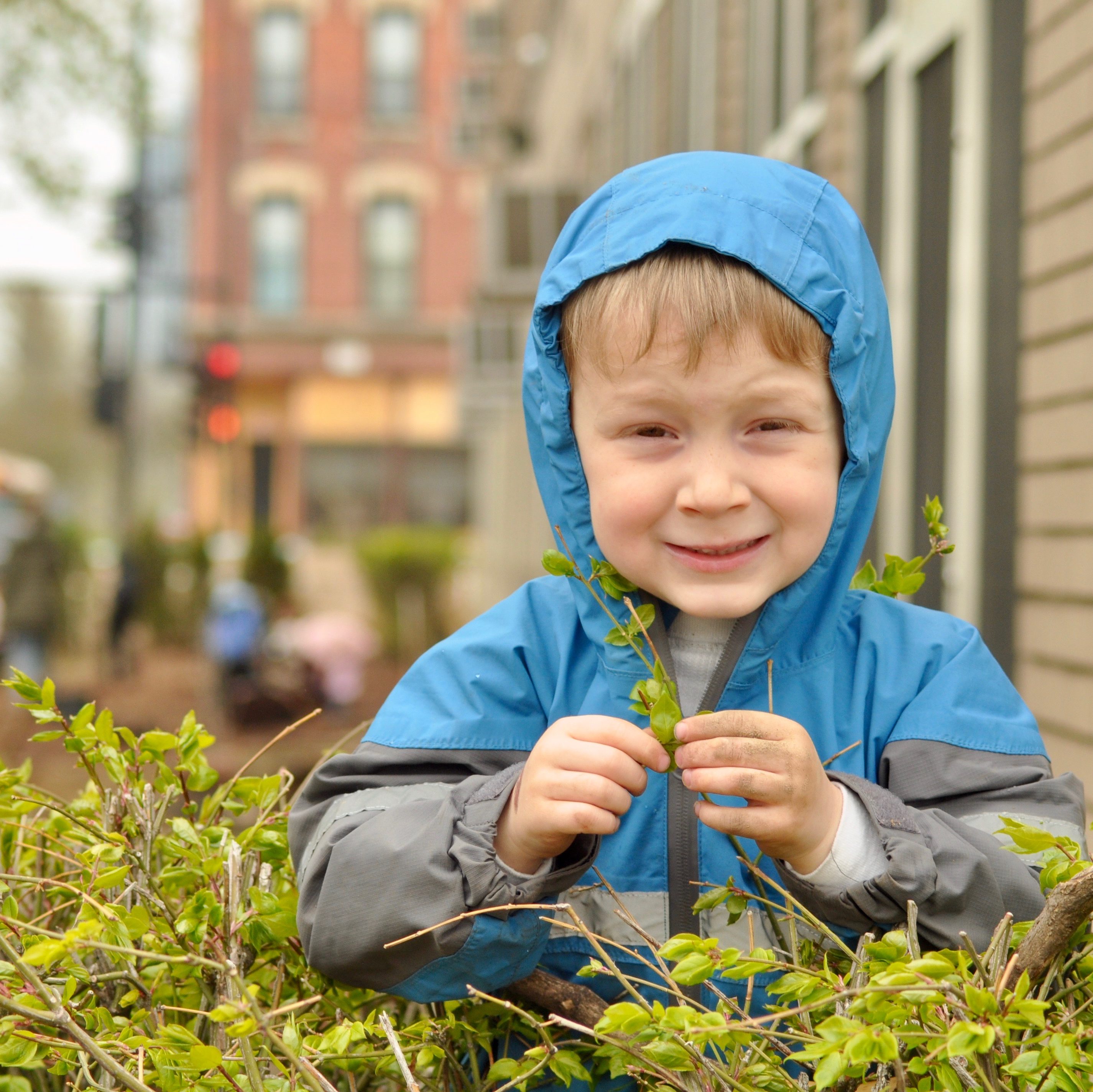Smiling little boy in the Early Childhood program plays with plants. 